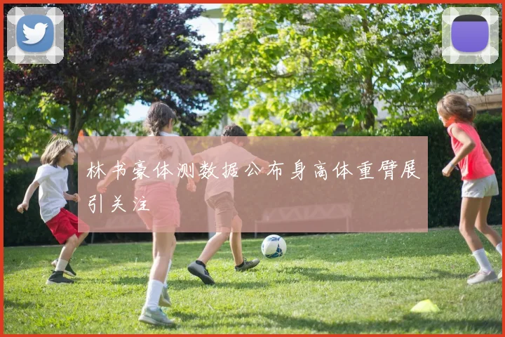 林书豪体测数据公布身高体重臂展引关注