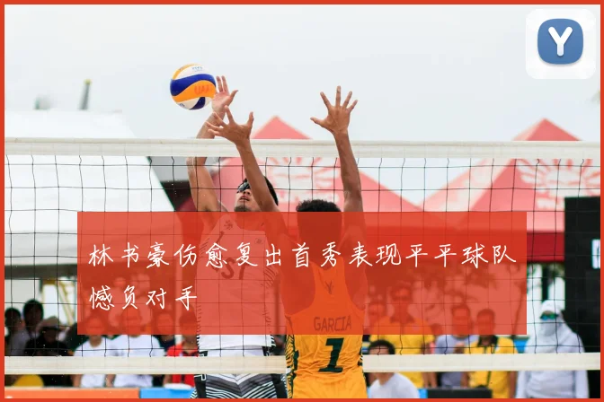 林书豪伤愈复出首秀表现平平球队憾负对手
