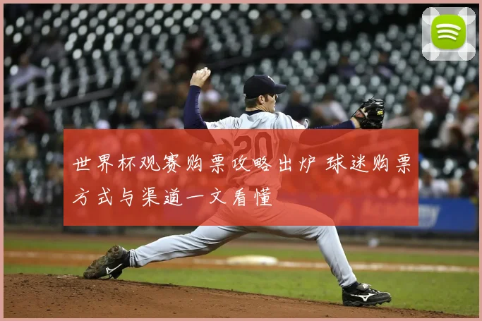 世界杯观赛购票攻略出炉 球迷购票方式与渠道一文看懂
