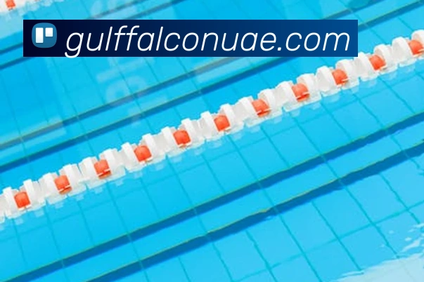 环球官方网站服务体系